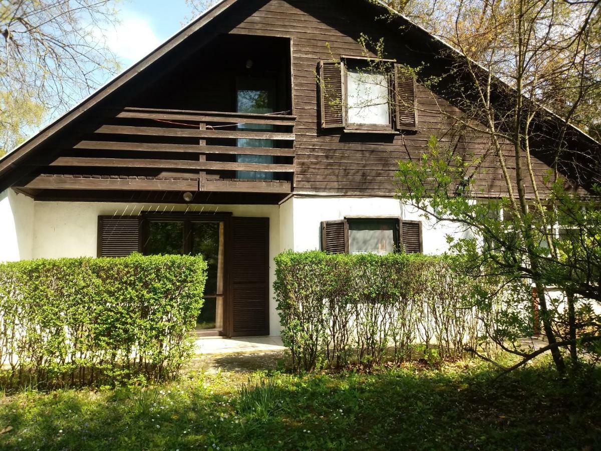 Vila Apartman 3 Haloszobaval Bük Exteriér fotografie